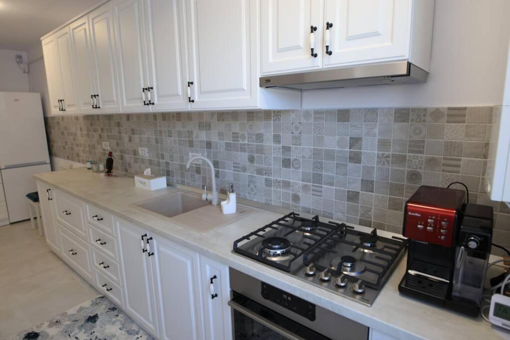 White Apartment Gura Humorului, Bucovina, Voronet Ngoại thất bức ảnh